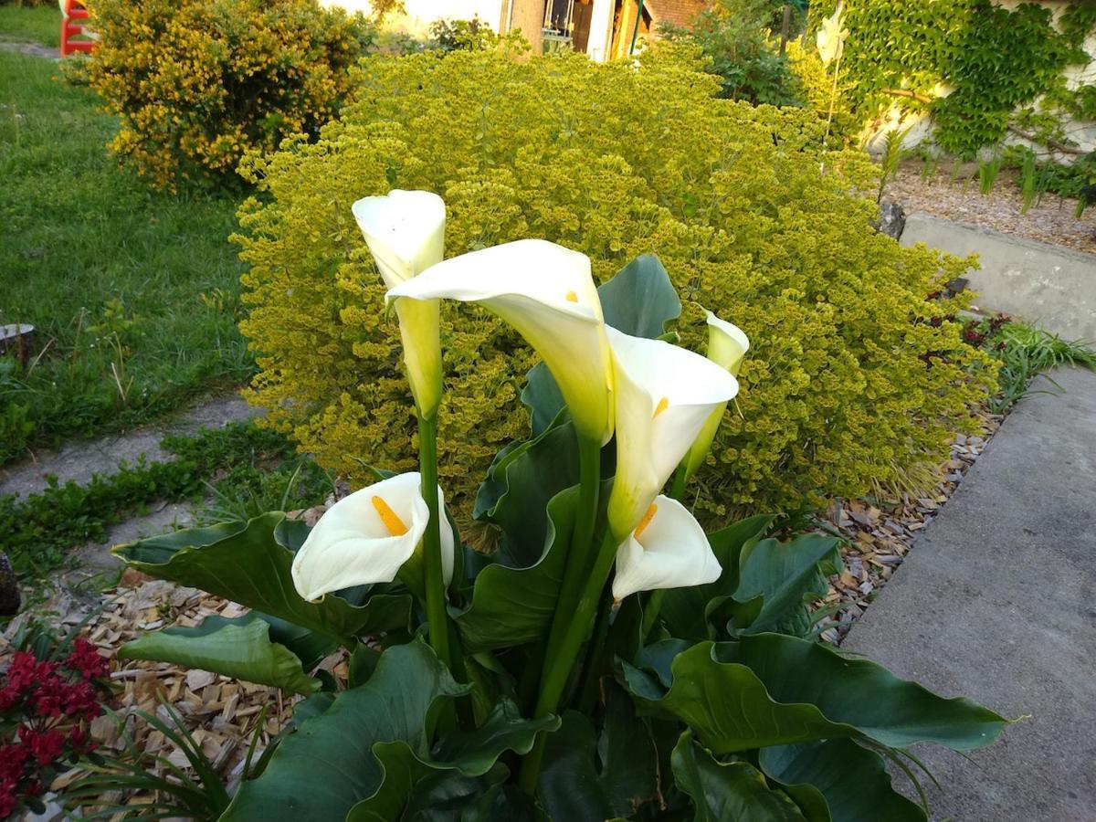 La Ribambelle Bed and Breakfast Saint-Brisson-sur-Loire Εξωτερικό φωτογραφία